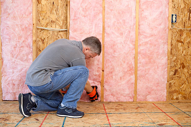 Professional Insulation Contractor in Auburn, KS