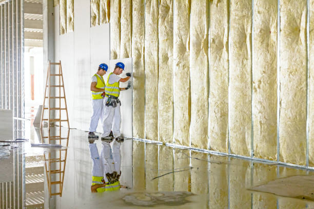 Best Insulation Contractors for Homes  in Auburn, KS